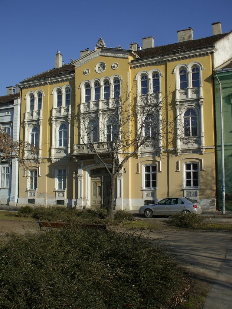 201101231048 Székesfehérvár, Vörösmarty tér by Harmadik