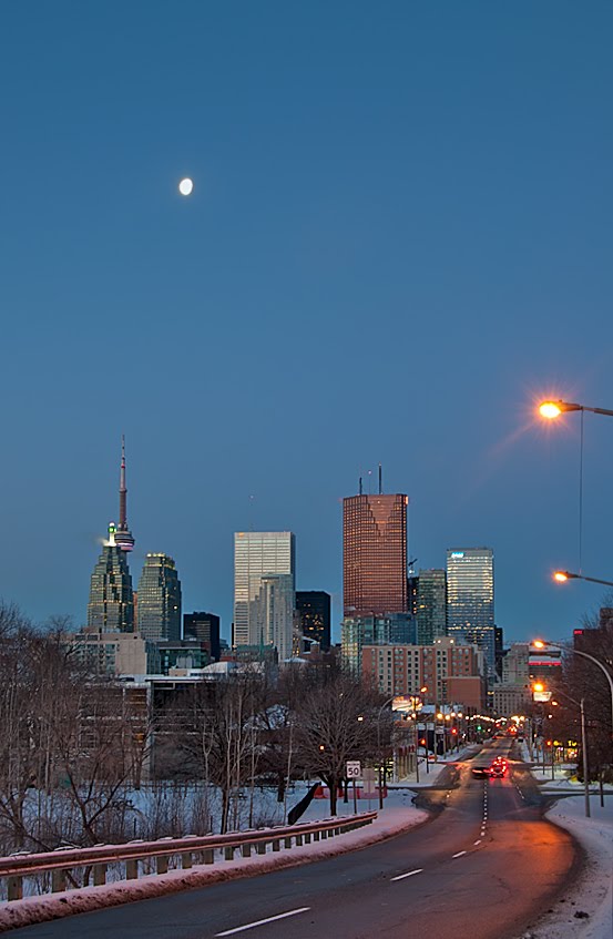 The view of Toronto's downtown by vlasov_nik@yahoo.ca