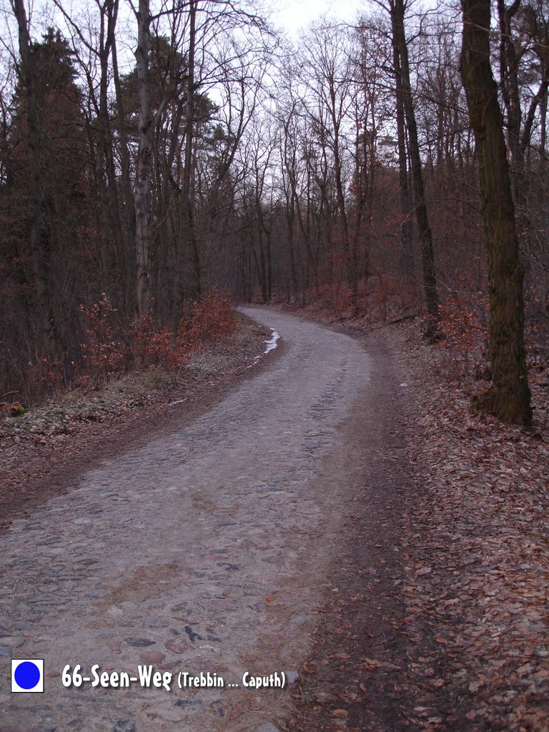 66-Seen-Weg, Kopfsteinstraße beim Forsthaus Schmerberg in der Caputher Heide - Januar 2011 by GAMBRINUS-Pdm