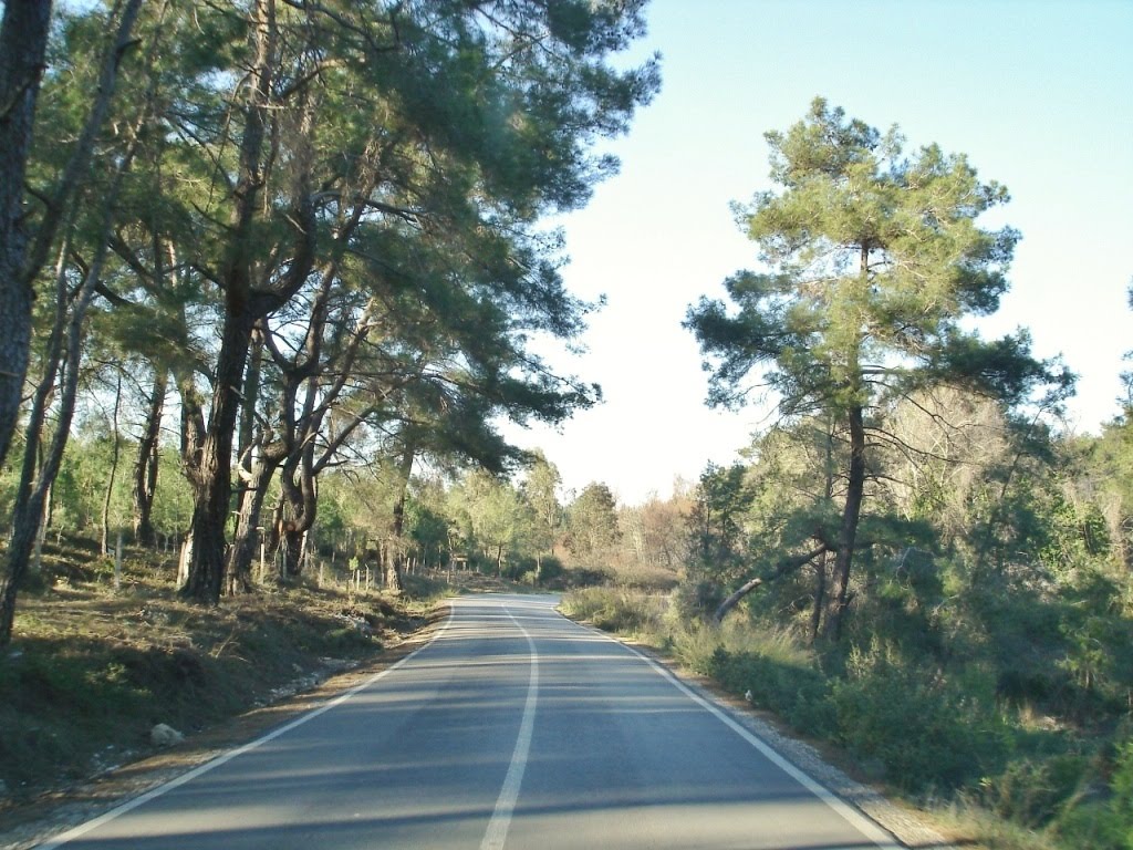 07119 Fettahlı/Aksu/Antalya, Turkey by Antalyalı