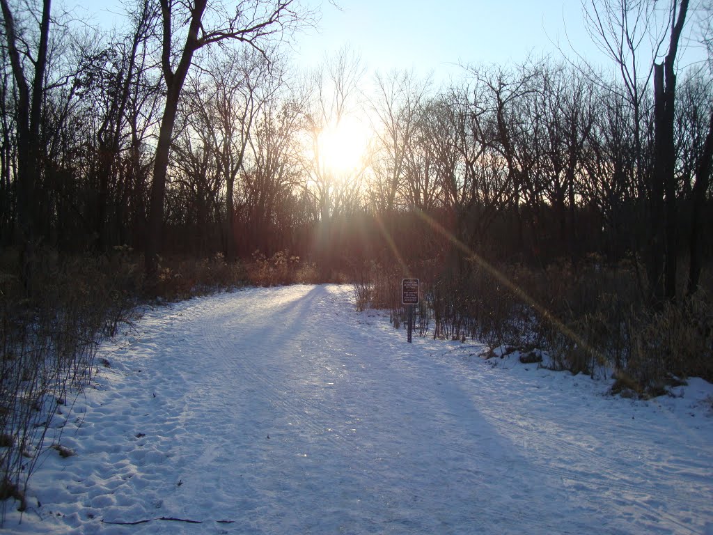 Forest Preserve by sanjam3