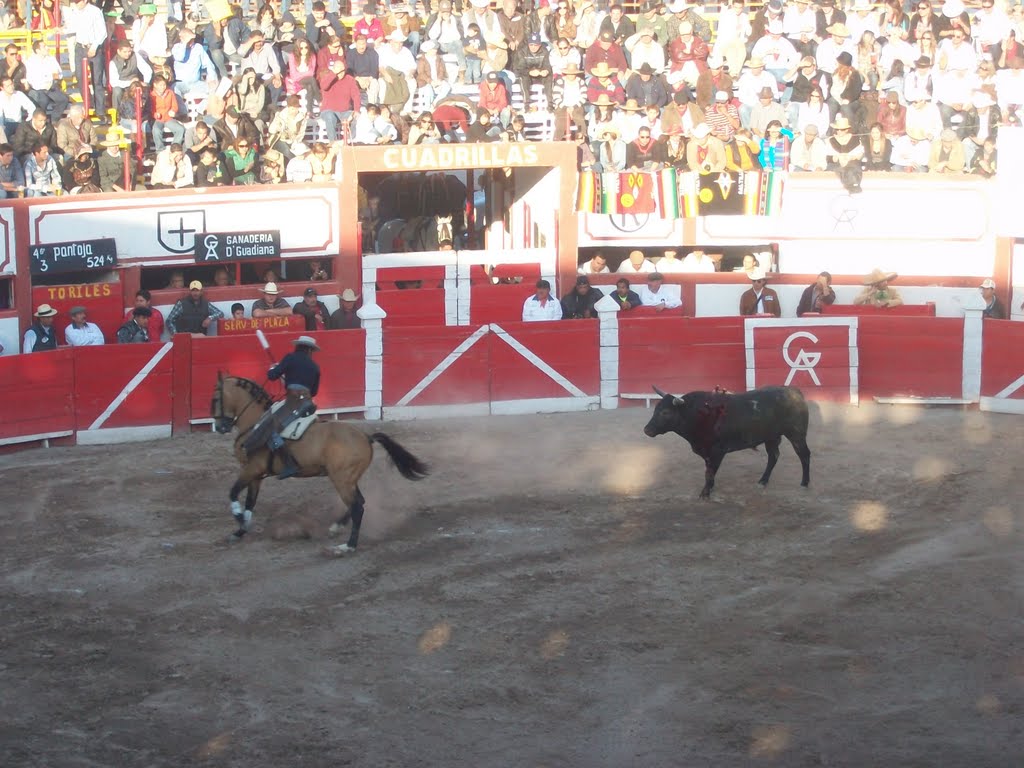 Rejoneador Diego Ventura Plaza Armillita Saltillo by fernando yates