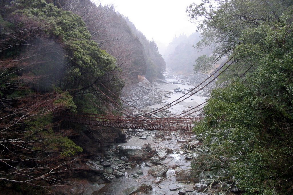 Suspension bridge made of ivy,'Kazura-bridge', Kochi-pref.　（祖谷渓） by kap5pa