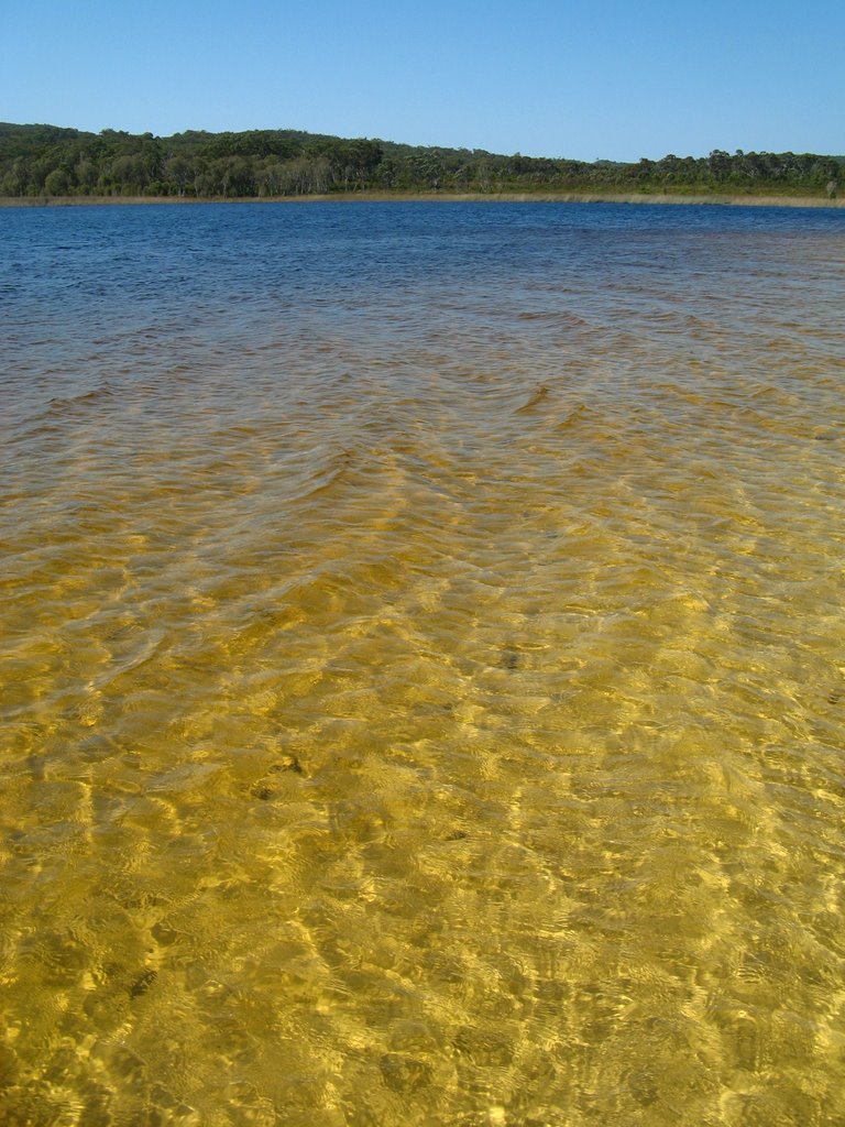 The clear water of Brown Lake by fotokönig