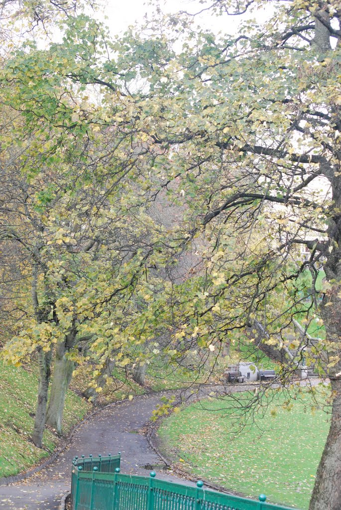 Union Terrace Gardens, Aberdeen Scotland by Renee Slater