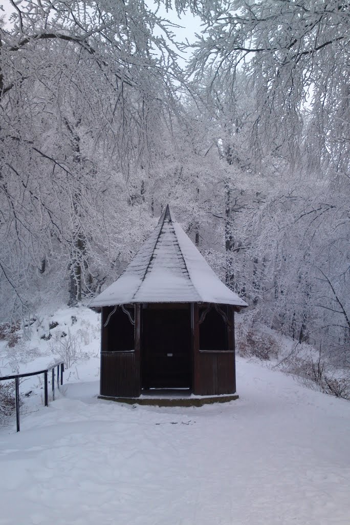 Winter im Siebengebirge by guirin