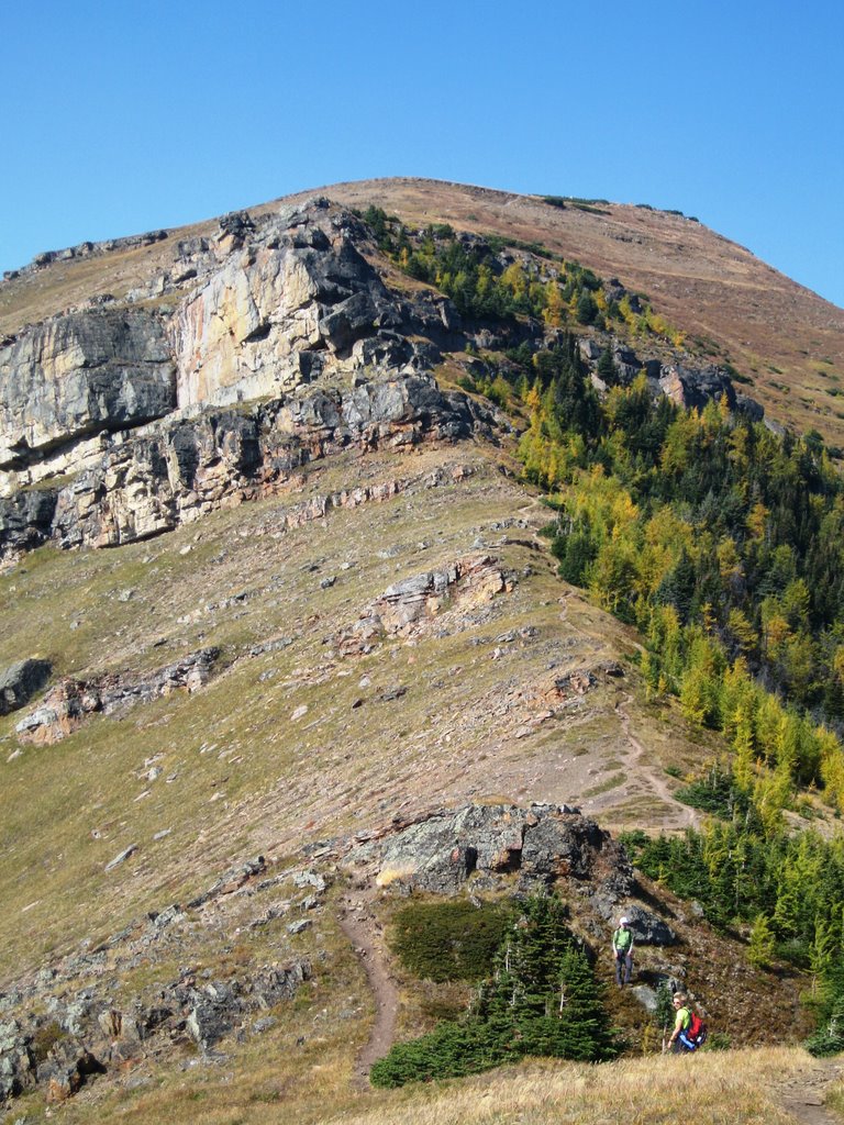 Looking up Centennial trail by John McCall