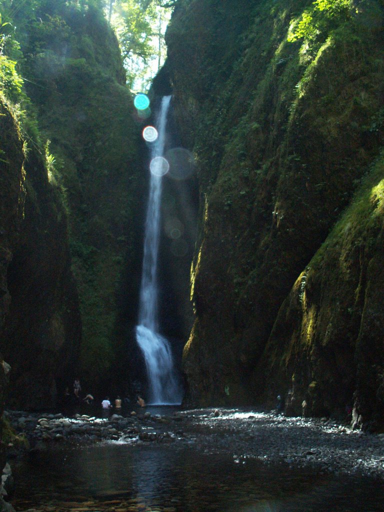 Oneonta Falls by Dana Jensen