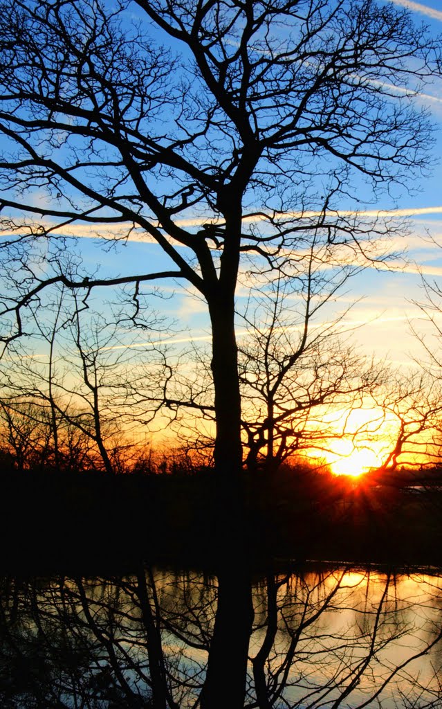 Tree carr mill dam by Kevin Dignam