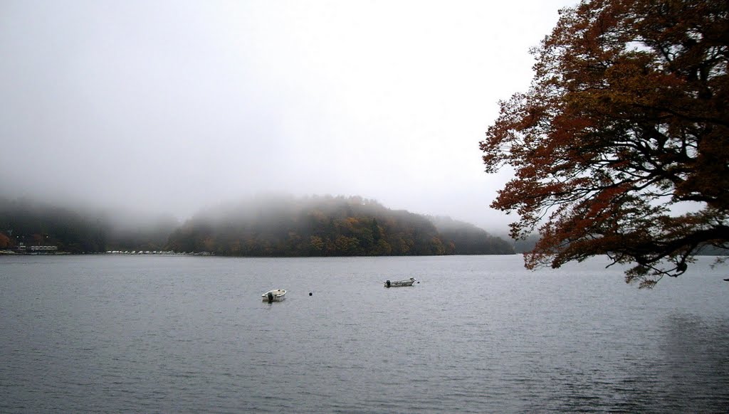 箱根 蘆之湖 元箱根 望 恩賜箱根公園 by Percy Tai  漆園童