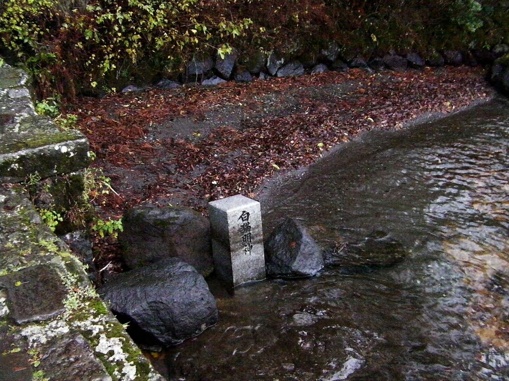 箱根 蘆之湖 元箱根 箱根神社 水中鳥居 by Percy Tai  漆園童