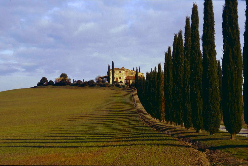 Val d'Orcia by michael quintini