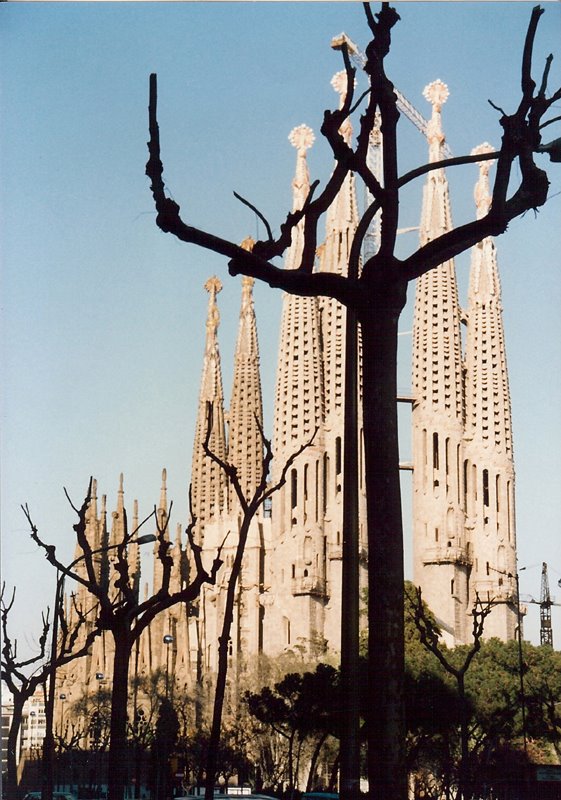 Sagrada Familia with Silohuetted Trees by Allyson van den Heri…