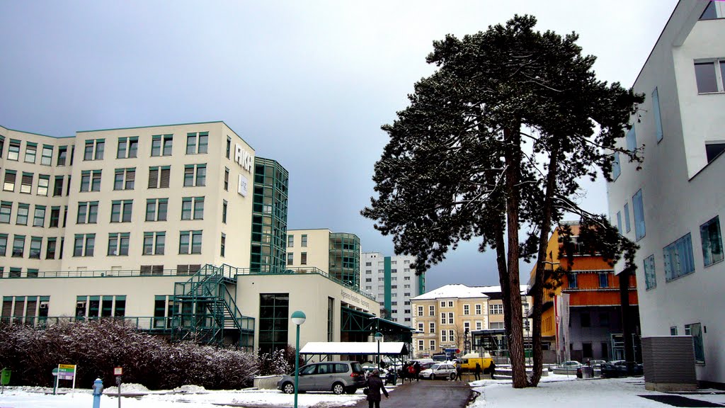 AKH und rechts Blutspendezentrale in Linz by © Didi S.