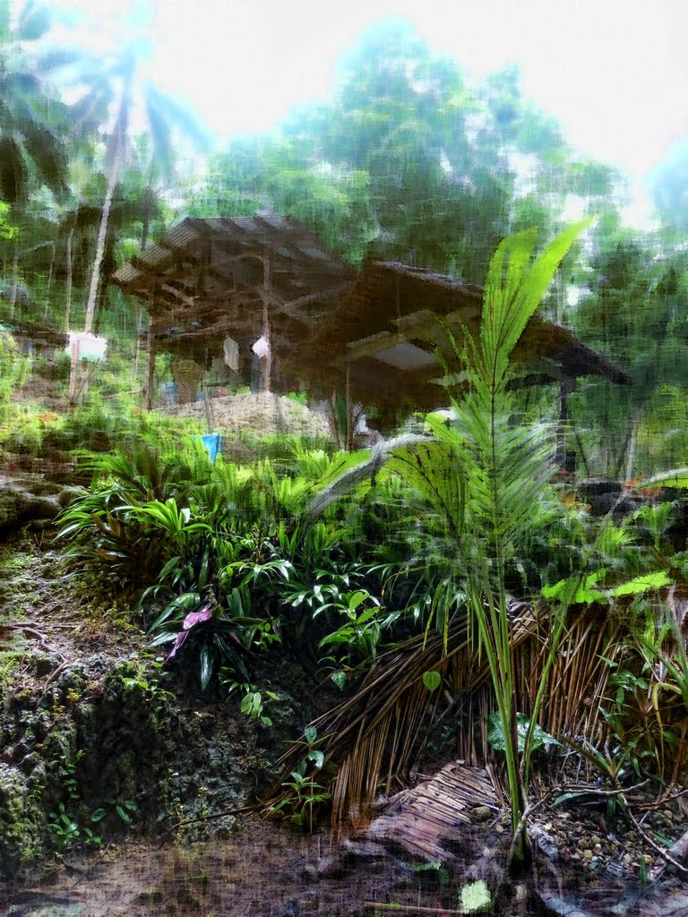 Wooden hut at the forest near Kawasan river by 2008guang