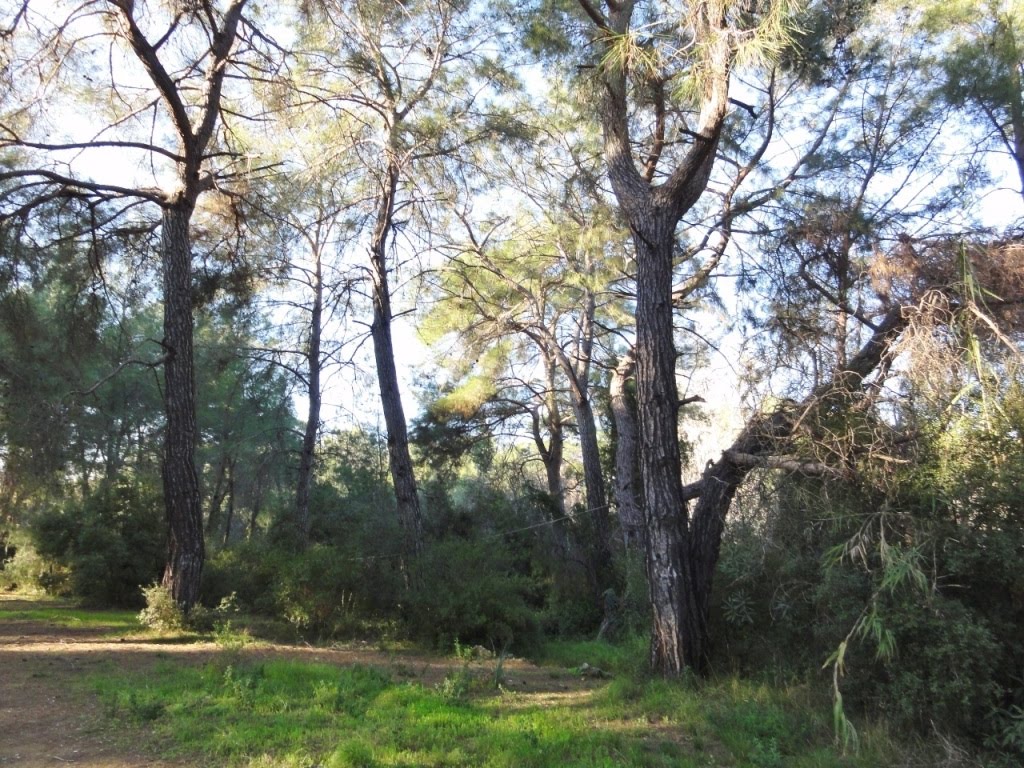 07119 Fettahlı/Aksu/Antalya, Turkey by Antalyalı