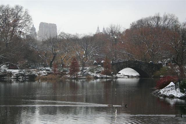 Central Park in the Snow by Steve Cole