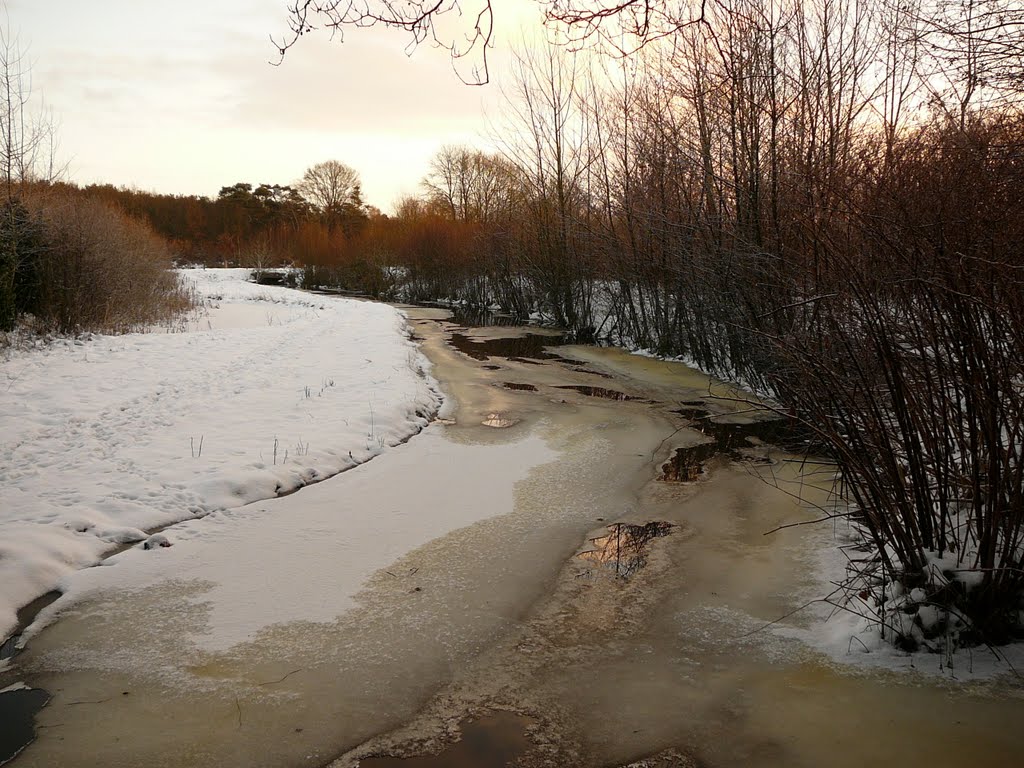 Boekelerveld, Enschede, Netherlands by Nico Nibbelink