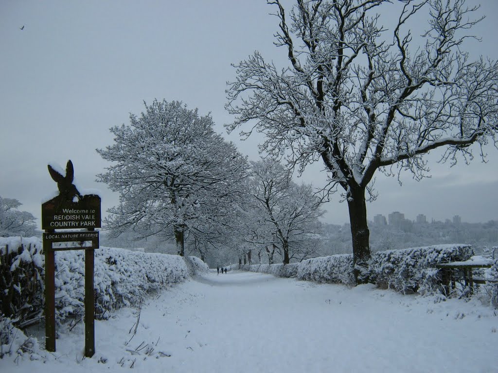 Mill Lane - Reddish by Stephen Whitfield