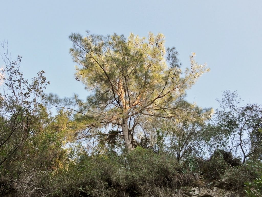 07119 Fettahlı/Aksu/Antalya, Turkey by Antalyalı