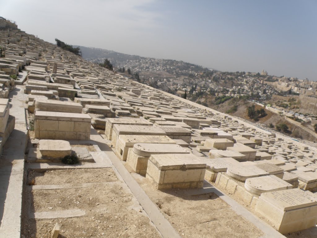 Jewish cemetery on the Mount of olives / Židovský hřbitov na Olivové hoře by DM brothers