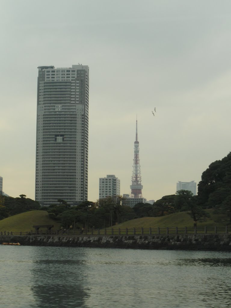 Tokyo by Maximilien Foret