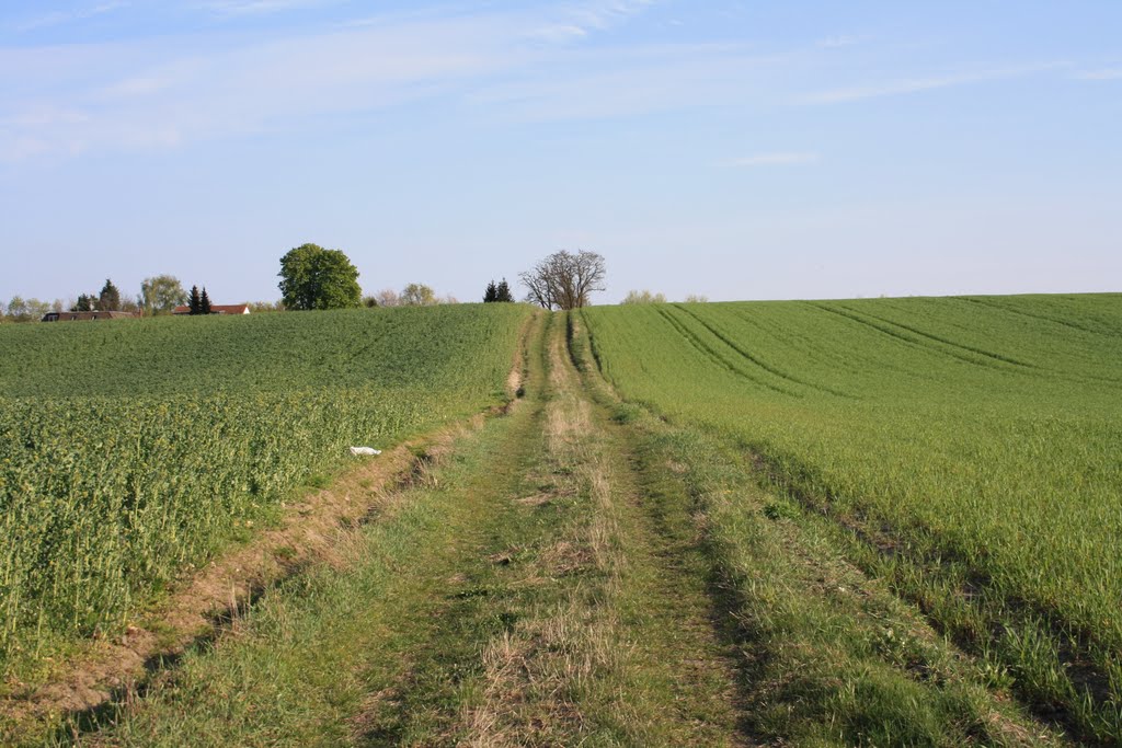 Feldweg in Lübars ri. Siedlung Rathenow by kiesewetter1973@yaho…