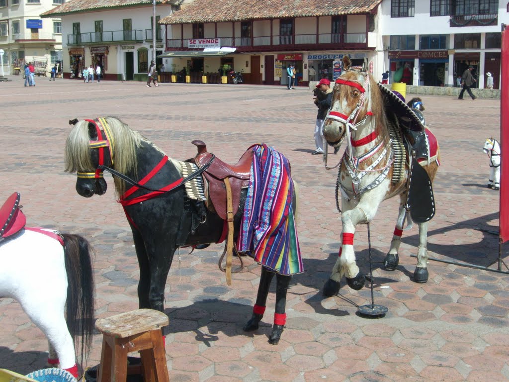 AL. Caballitos de madera en la plaza de Chiquinquirá by alberto lucchesi