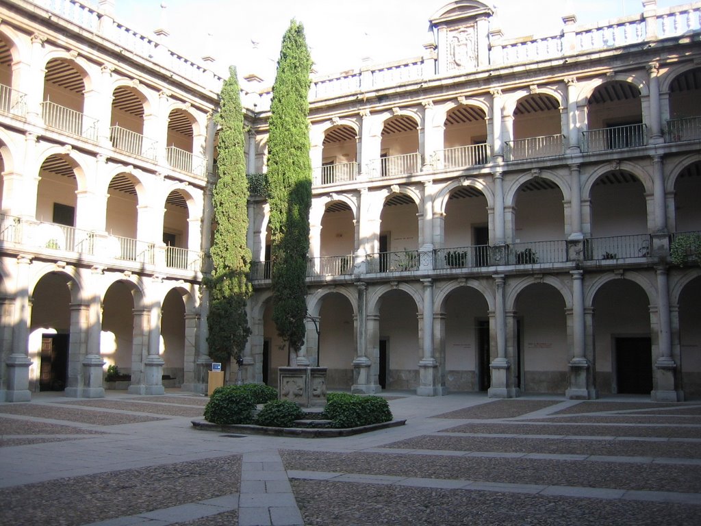 Patio de Santo Tomas de Villanueva, Universidad Cisneriana. by bios