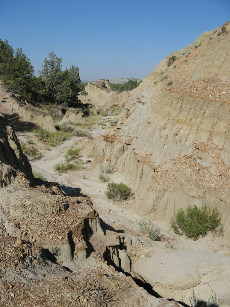 Aug 2008 - Theodore Roosevelt National Park (North Unit), North Dakota. Path of the dead. by BRIAN ZINNEL