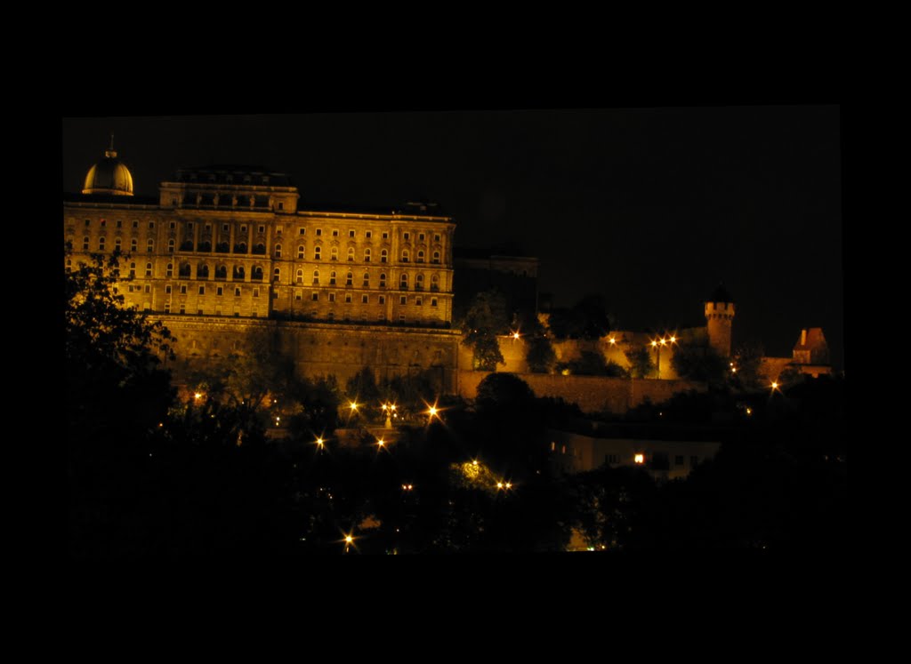 Castle of Buda, Budapest by gophix