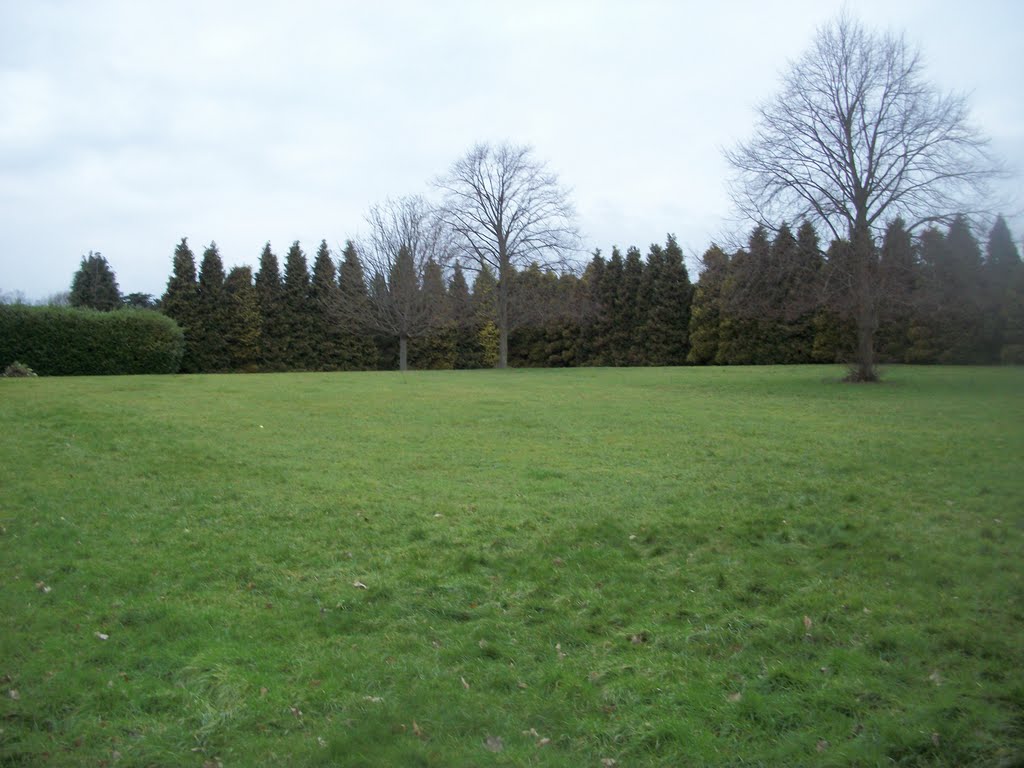 The Bell's Piece grassy landscape by Robert'sGoogleEarthPictures