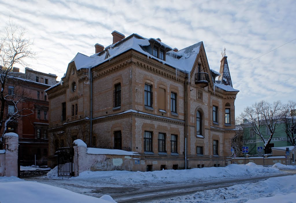 Писарева ул., 2 (особняк архитектора В. А. Шретера, 1891 г.) by Yuri Sedunov