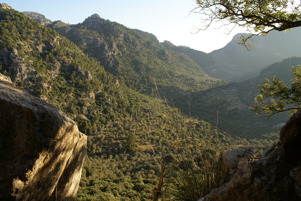 Blick ins Tal von Binniforani by Henrik Be.