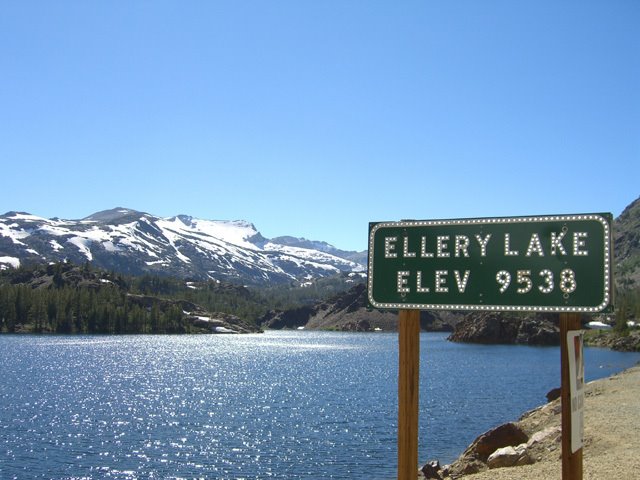 Ellery Lake, Yosemite NP by icarus1610