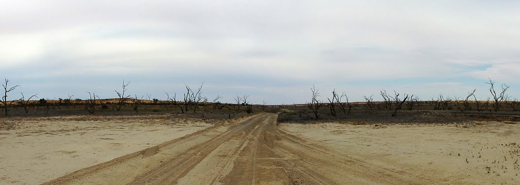 Innamincka to Birdsville via Walkers Crossing by Robert van Poppelen