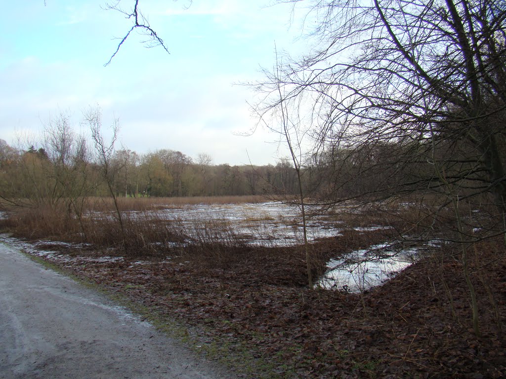 Langs Odense Å by papkassen