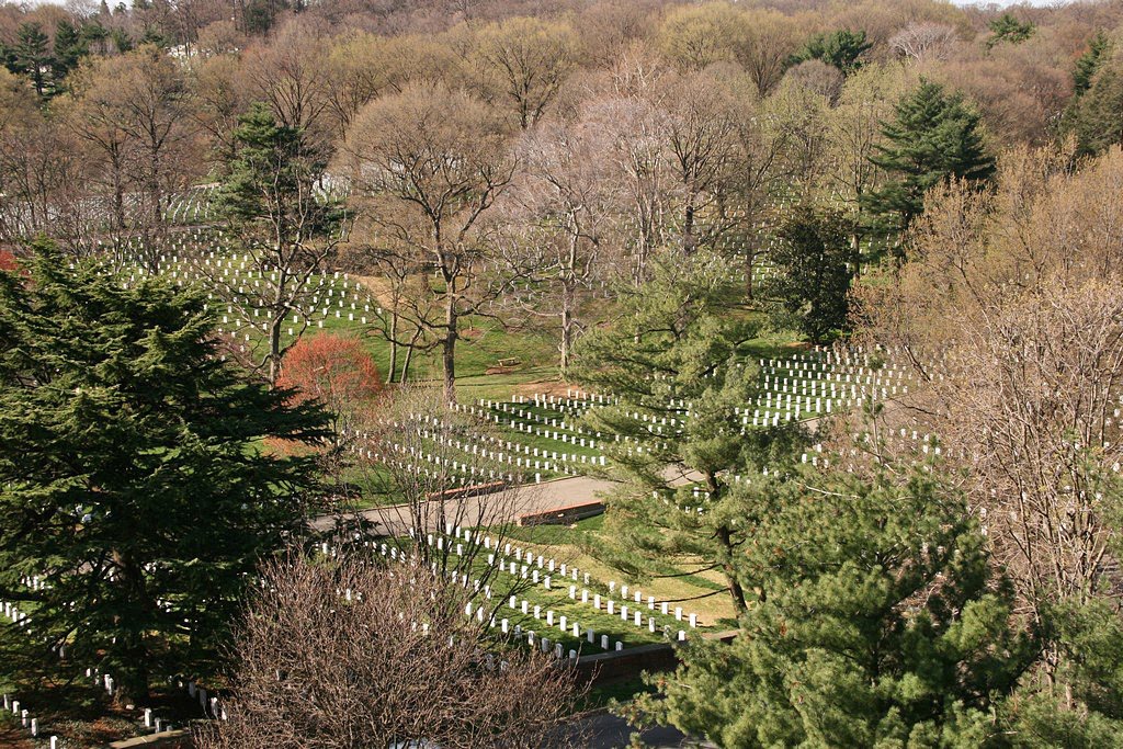 Arlington National Cemetery by Bocaj Nesnaj