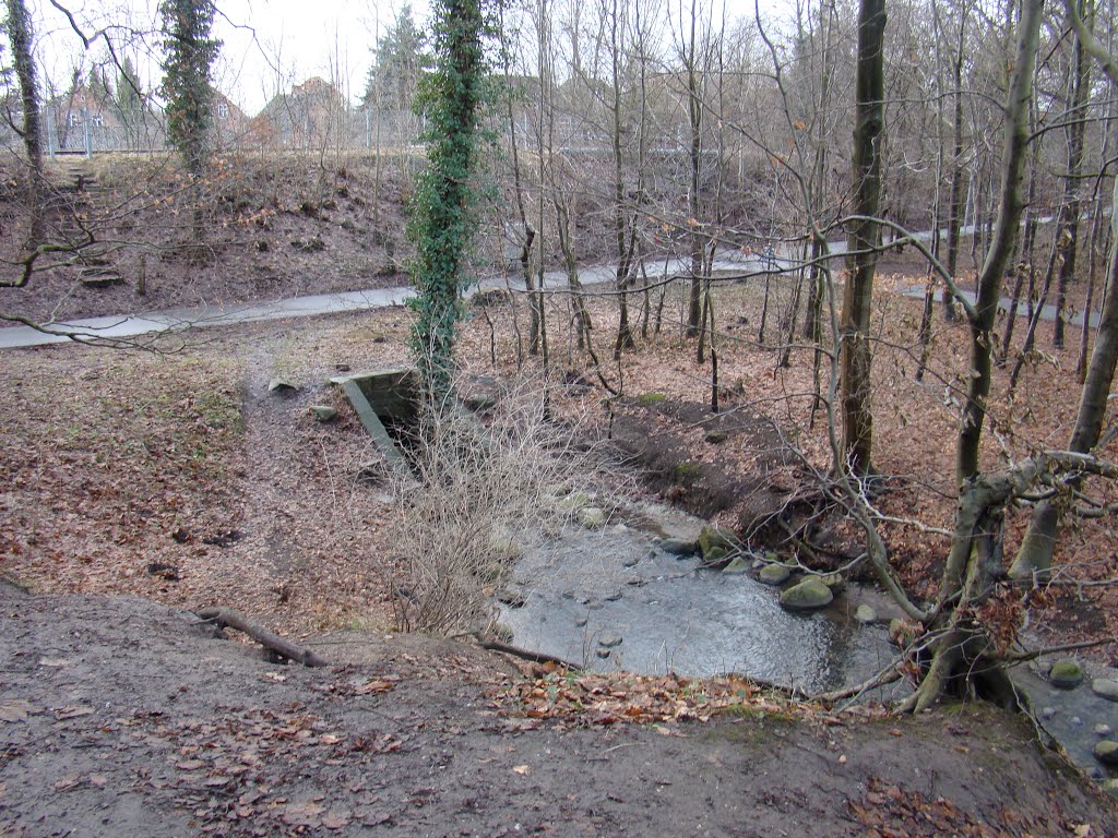 Langs Odense Å by papkassen