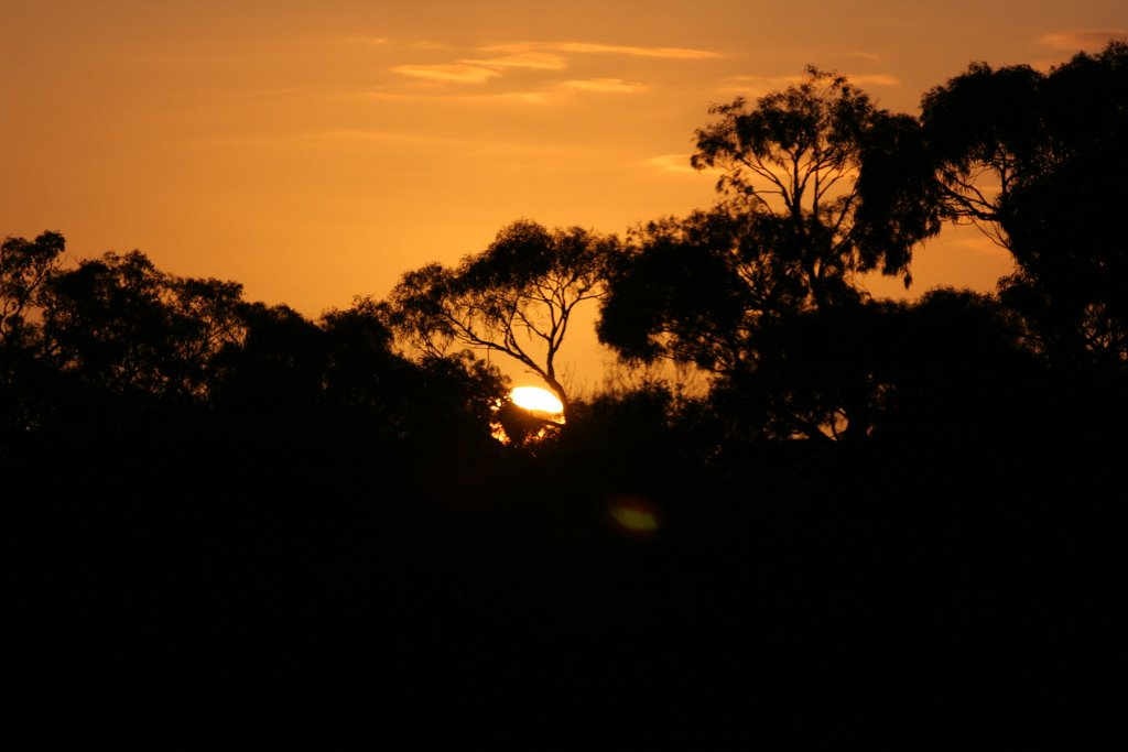 At the end of the day by Palmina Moore