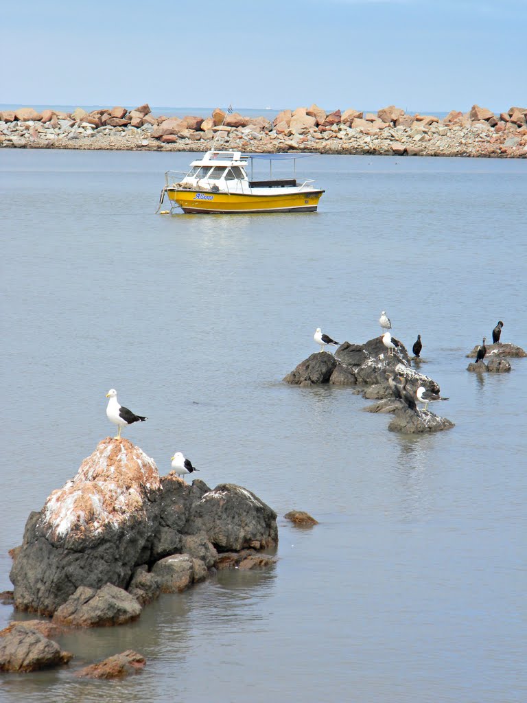 Club de pesca "La Estacada" by Luis Perretti