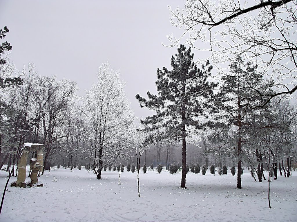 Winter romance by Laurentiu Mitu