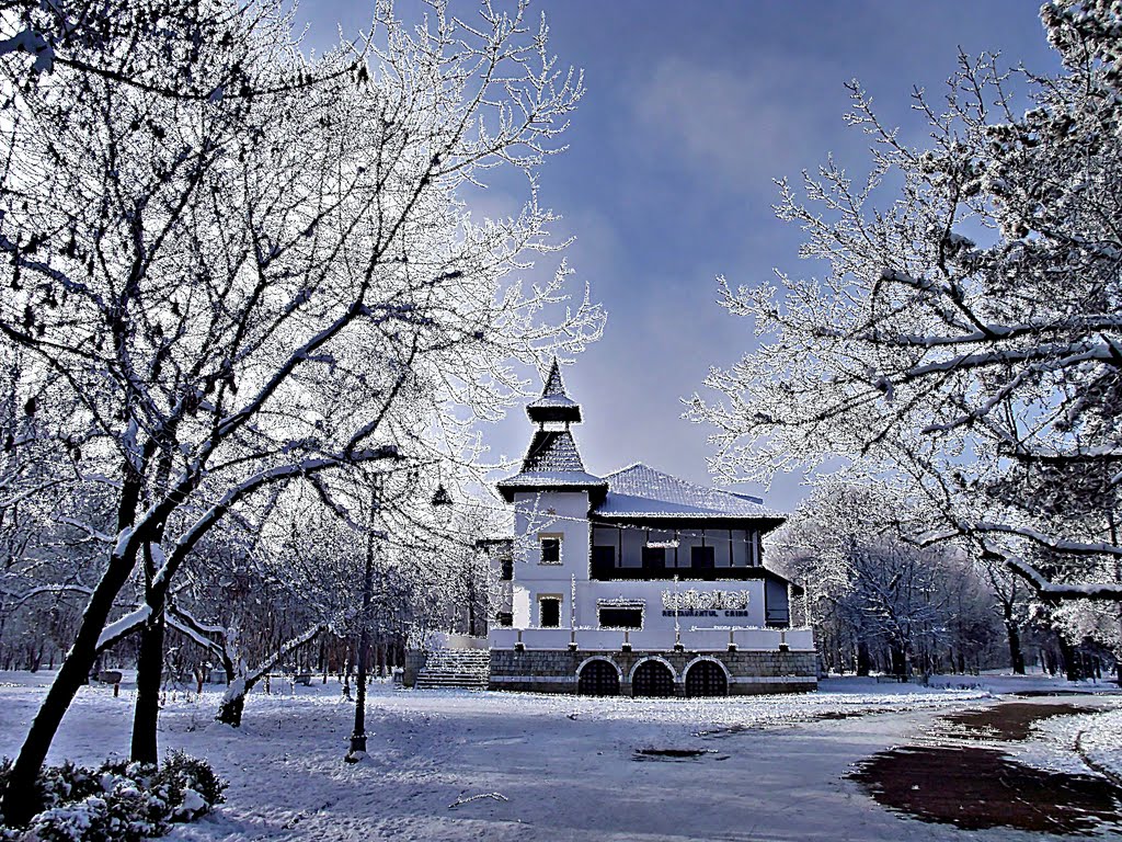 Winter romance-Crang restaurant by Laurentiu Mitu