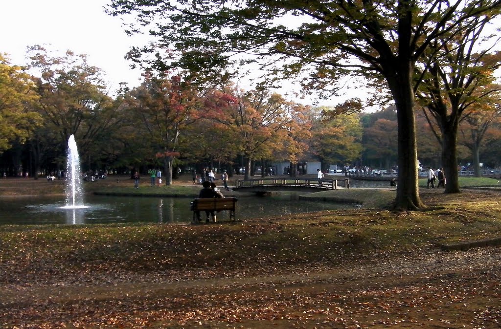 東京 代代木公園 Yoyogi Park,Tokyo,Japan by Percy Tai  漆園童