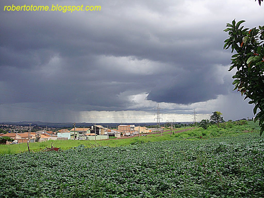 RESIDENCIAL DAS LARANJEIRAS - FOTO 2 - LONDRINA by ROBERTO TOMÉ 2