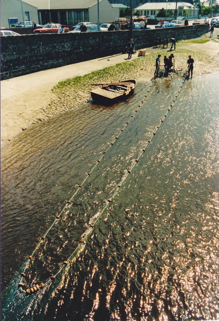 Salmon netting in Ballina in times gone bye by chris major