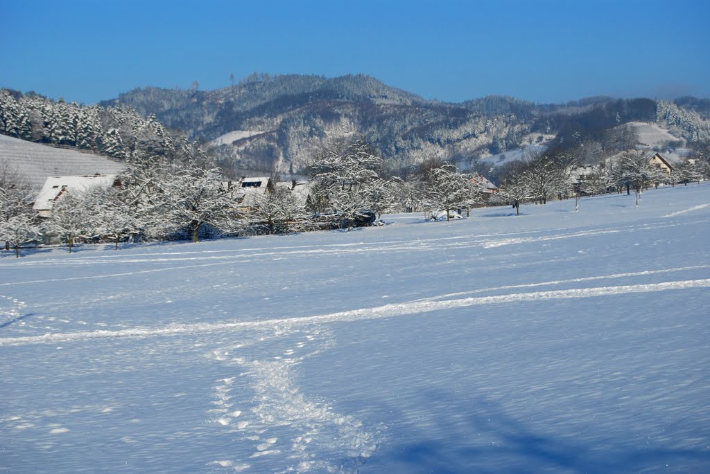 Reichenbach im Winter by Gargolla