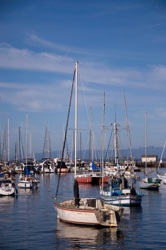 Nice day on the harbor by John Woodford