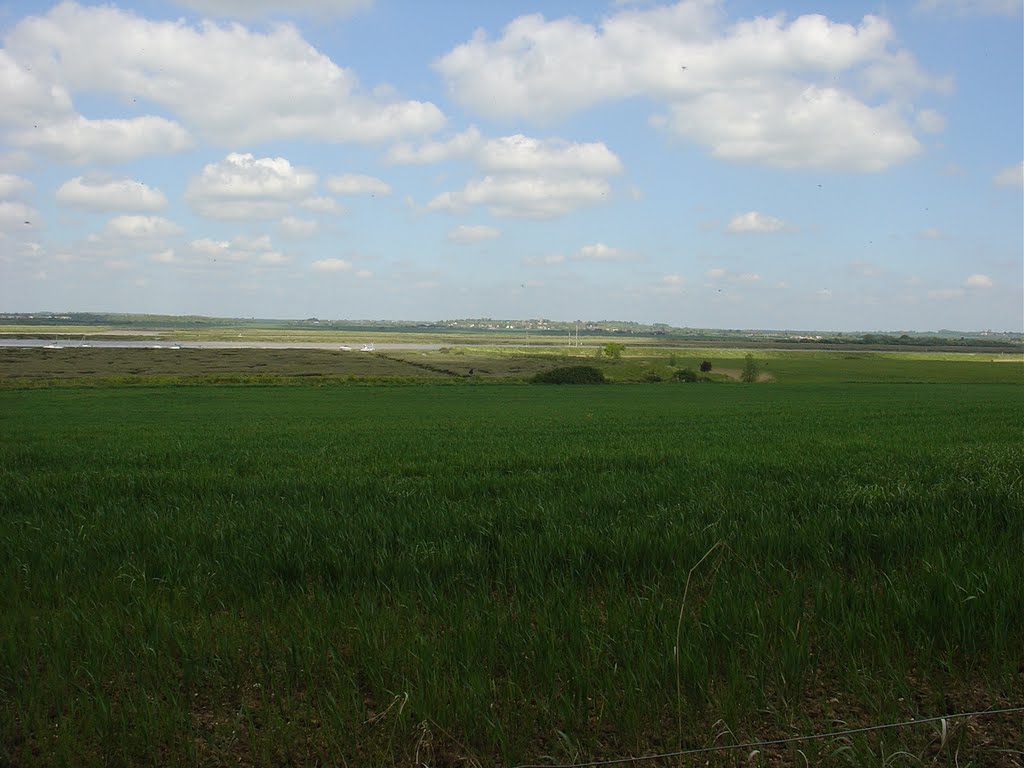 Mersea Island - May 2005 by Paul HART