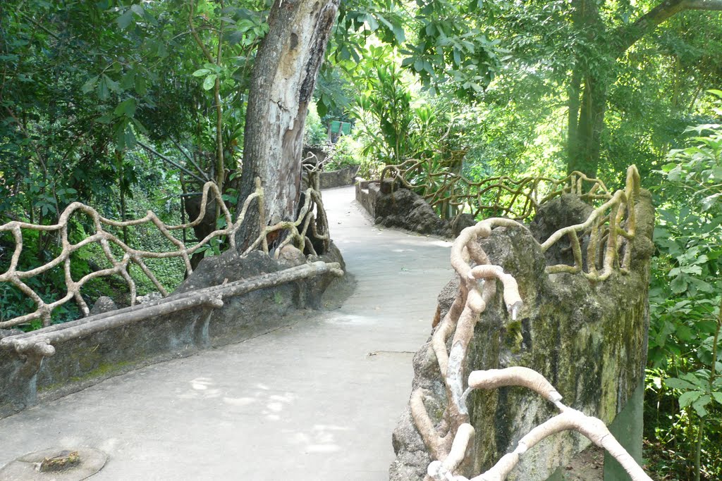 Paseo en Petencito by Edynilson D'Leòn